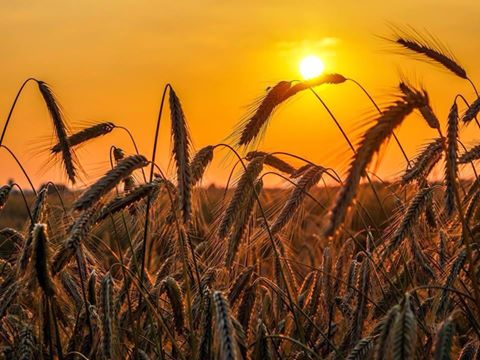 من الاقوى ..! الكبرياء ام الغرور