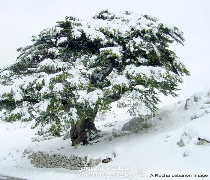 جبل الباروك..ولبنان..لن ينحني..